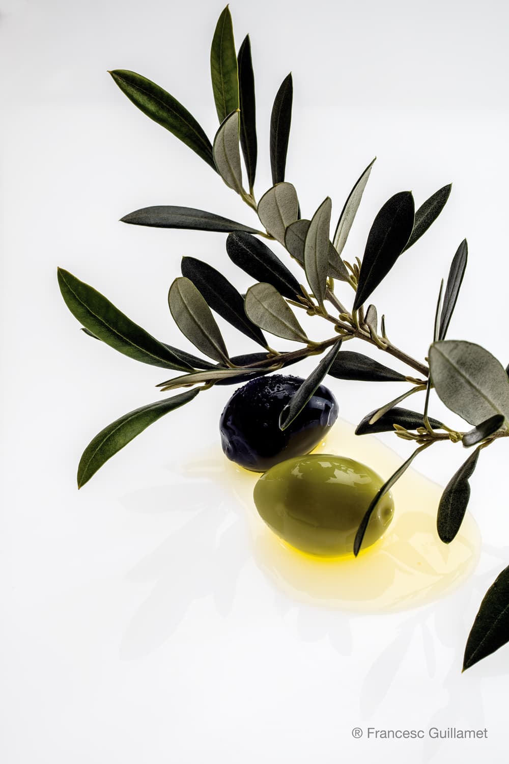 Menú Disfrutar Classic